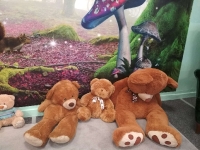 Galeria 2019/2020
