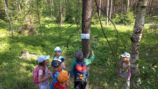 Wycieczka do nadleśnictwa