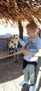 Alpakarnia w Poczesnej