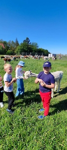 Alpakarnia w Poczesnej
